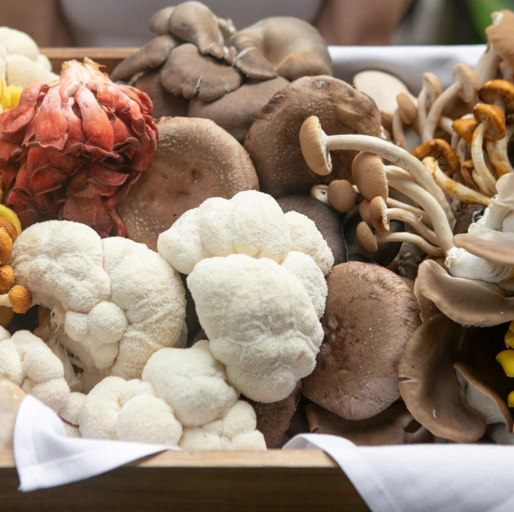 a group of mushrooms in a wooden box