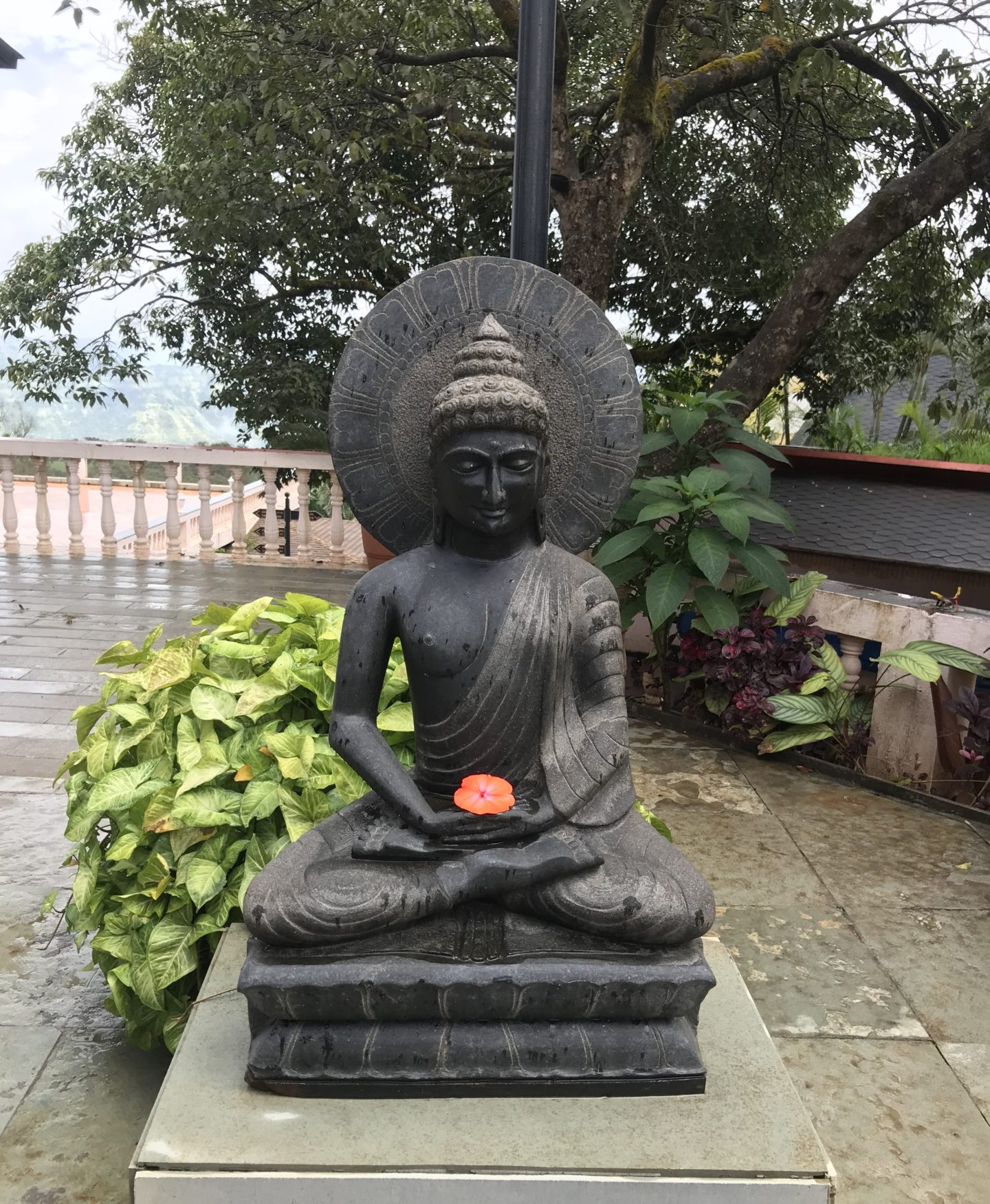 Entrance to Brightland Resort & Spa Mahabaleshwar amidst lush greenery