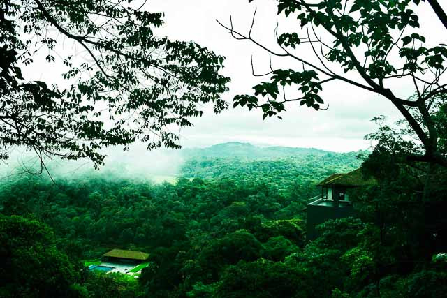 Panoramic view of Taj Madikeri Resort & Spa Coorg, showcasing the outdoor pool and reception area against a backdrop of lush greenery.