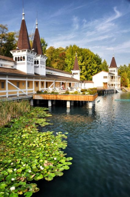 Hévíz Thermal Lake lily pads