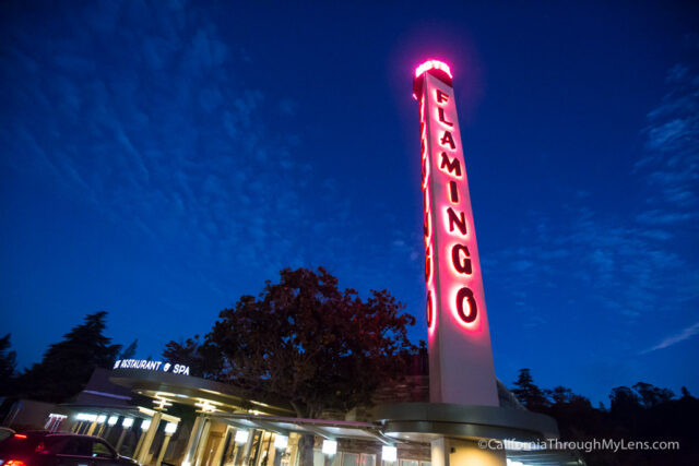 flamingo-santa-rosa-14