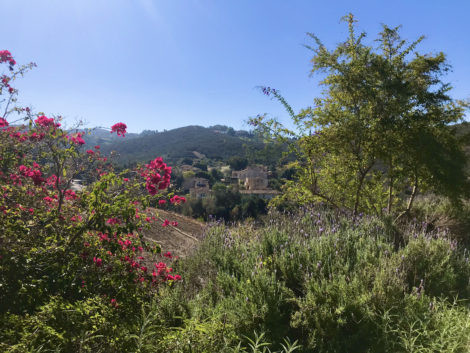 Distant view of Cal-a-Vie Health Spa, California.