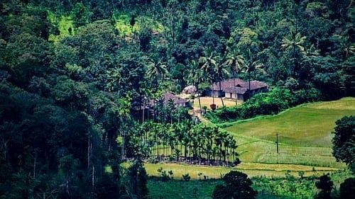 Lush green landscape of Coorg ideal for spa resorts
